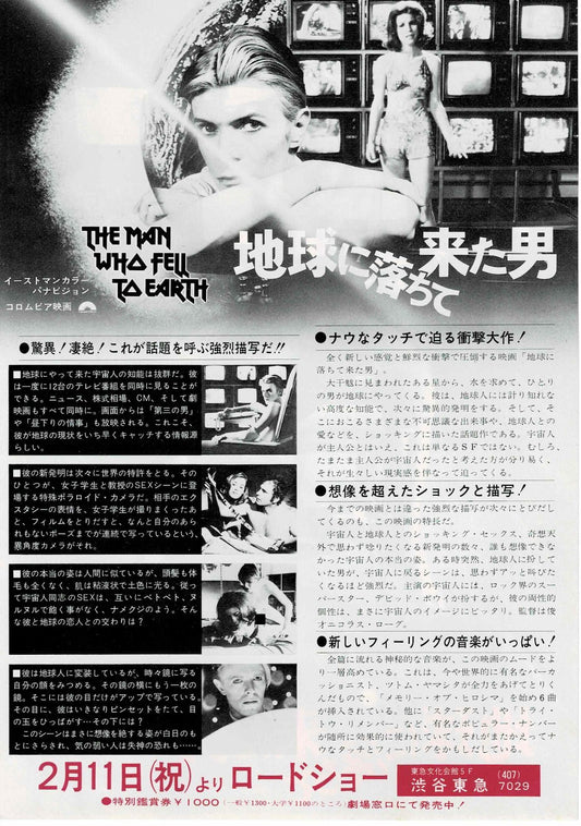 The Man Who Fell to Earth Japanese Original Mini Movie Poster Chirashi Flyer B5