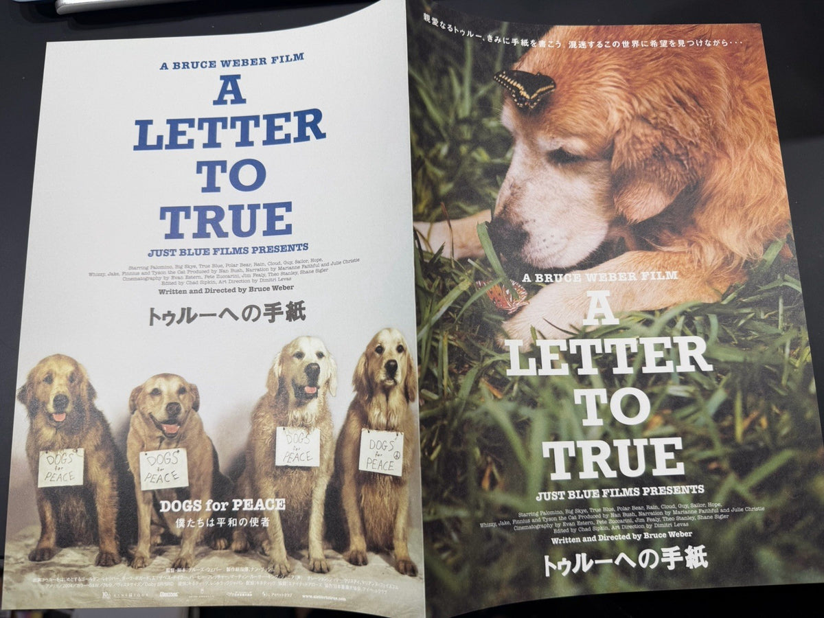 A Letter to True 2004 Bruce Weber Original Mini Movie Poster Chirashi Flyer B5
