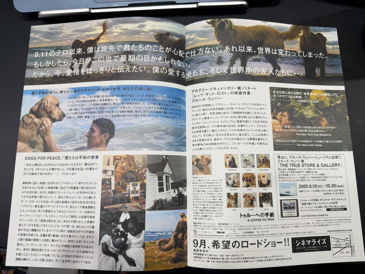 A Letter to True 2004 Bruce Weber Original Mini Movie Poster Chirashi Flyer B5 B