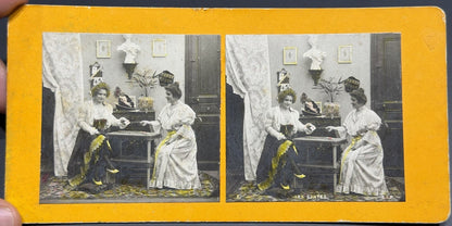 Antique French S.I.P. Stereoview Les Cartes Hand Tinted Color c1900 France Photo
