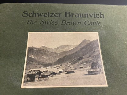 1920s Antique Schweizer Braunvieh The Swiss Brown Cattle Booklet Agricultural
