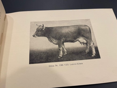 1920s Antique Schweizer Braunvieh The Swiss Brown Cattle Booklet Agricultural