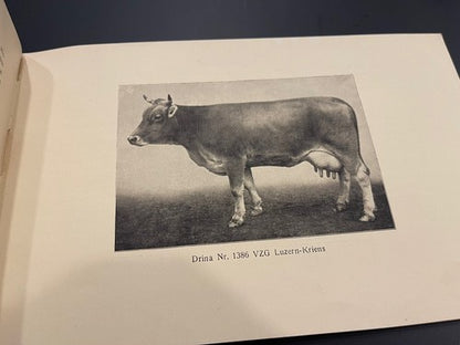 1920s Antique Schweizer Braunvieh The Swiss Brown Cattle Booklet Agricultural