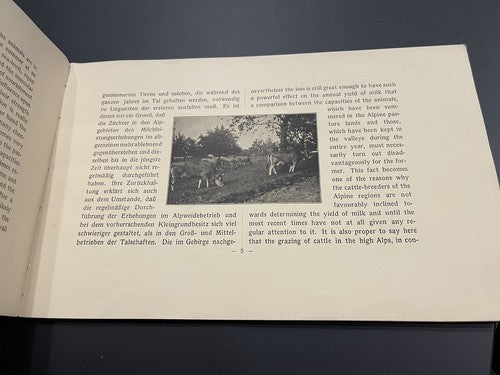 1920s Antique Schweizer Braunvieh The Swiss Brown Cattle Booklet Agricultural