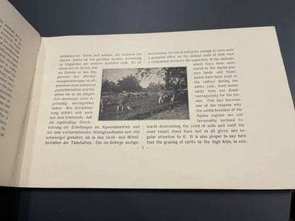 1920s Antique Schweizer Braunvieh The Swiss Brown Cattle Booklet Agricultural