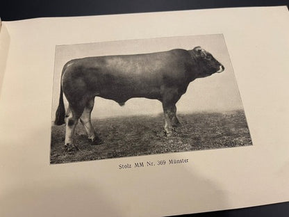 1920s Antique Schweizer Braunvieh The Swiss Brown Cattle Booklet Agricultural