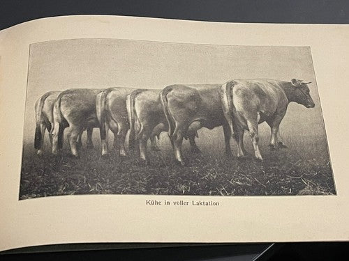 1920s Antique Schweizer Braunvieh The Swiss Brown Cattle Booklet Agricultural