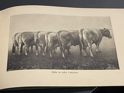 1920s Antique Schweizer Braunvieh The Swiss Brown Cattle Booklet Agricultural
