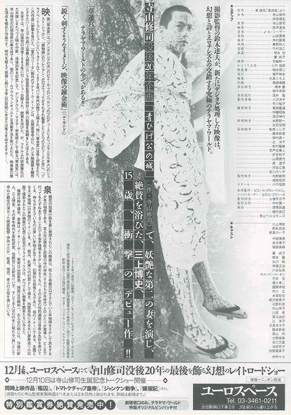 Grass Labyrinth 1979 Shuji Terayama Japanese Mini Movie Poster Chirashi Flyer B5