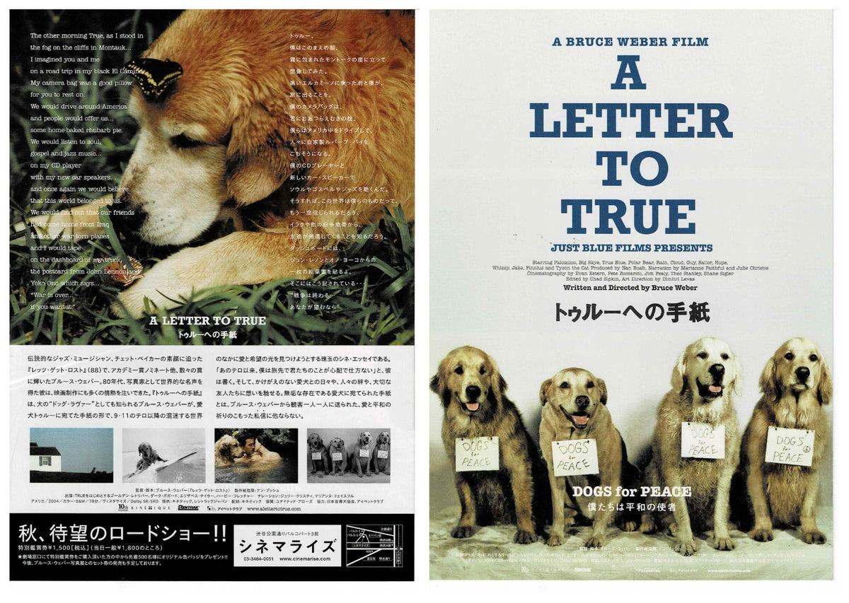 A Letter to True 2004 Bruce Weber Original Mini Movie Poster Chirashi Flyer B5