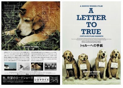 A Letter to True 2004 Bruce Weber Original Mini Movie Poster Chirashi Flyer B5