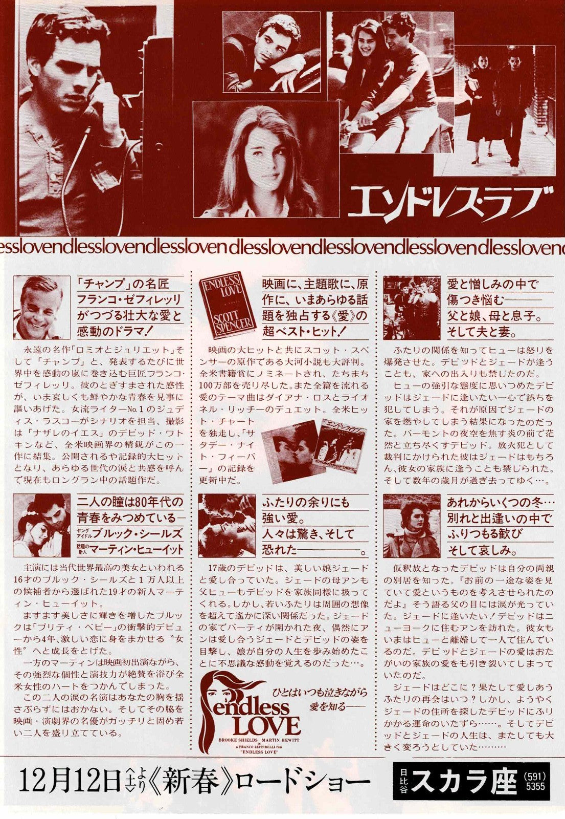 Endless Love 1981 Franco Zeffirelli Japanese Mini Movie Poster Chirashi Flyer B5