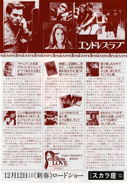 Endless Love 1981 Franco Zeffirelli Japanese Mini Movie Poster Chirashi Flyer B5