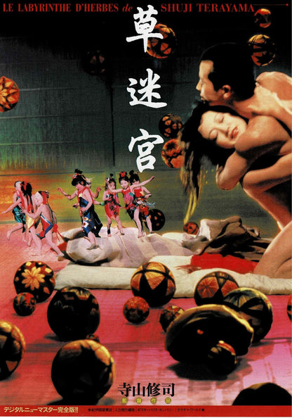 Grass Labyrinth 1979 Shuji Terayama Japanese Mini Movie Poster Chirashi Flyer B5