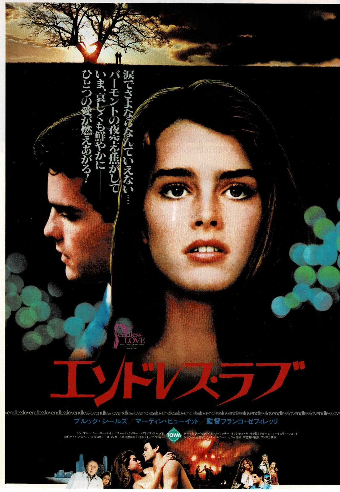 Endless Love 1981 Franco Zeffirelli Japanese Mini Movie Poster Chirashi Flyer B5