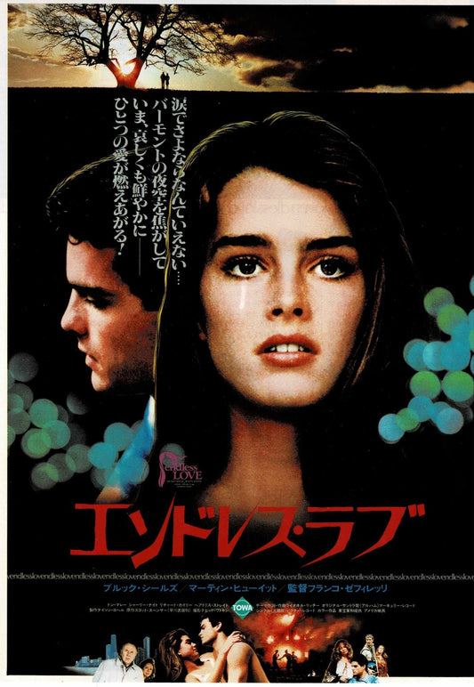 Endless Love 1981 Franco Zeffirelli Japanese Mini Movie Poster Chirashi Flyer B5