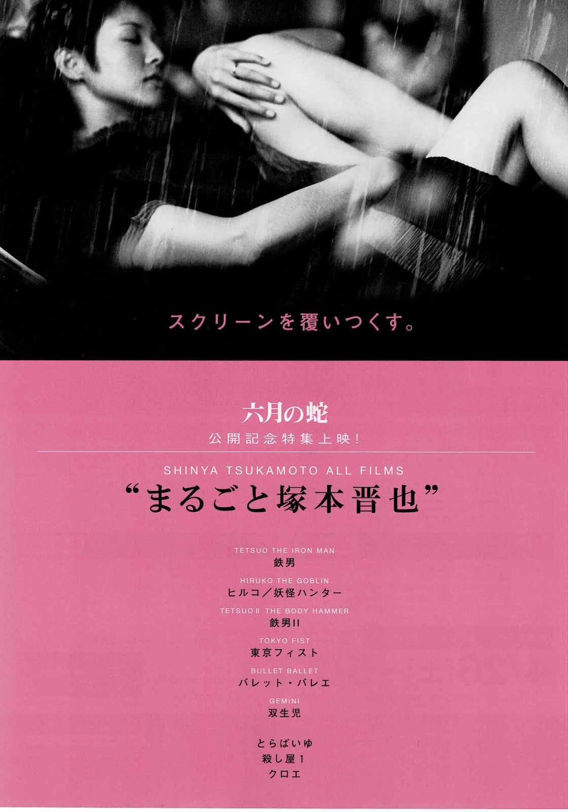 Shinya Tsukamoto All Films Japanese Original Mini Movie Poster Chirashi Flyer B5