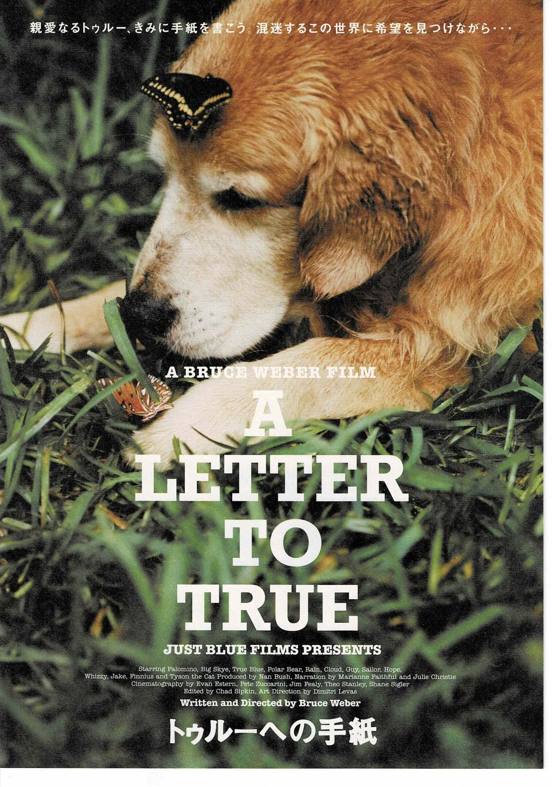 A Letter to True 2004 Bruce Weber Original Mini Movie Poster Chirashi Flyer B5 B