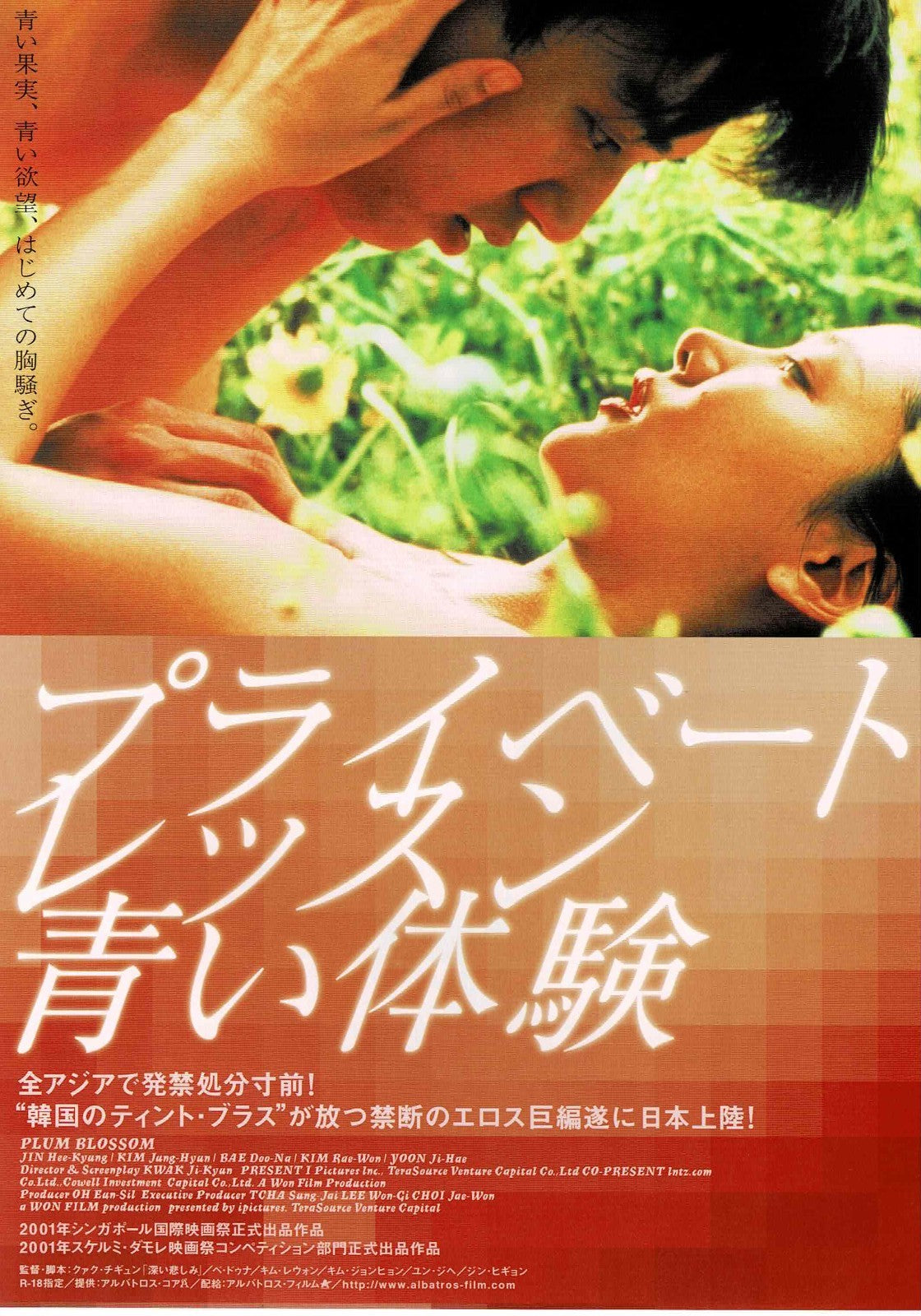 Plum Blossom 2000 Kwak Ji-kyun Japanese Og. Mini Movie Poster Chirashi Flyer B5