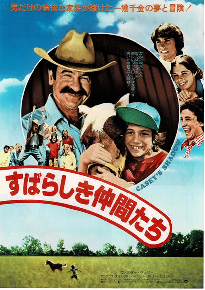 Casey's Shadow 1978 Japanese Original Mini Movie Poster Chirashi Flyer B5