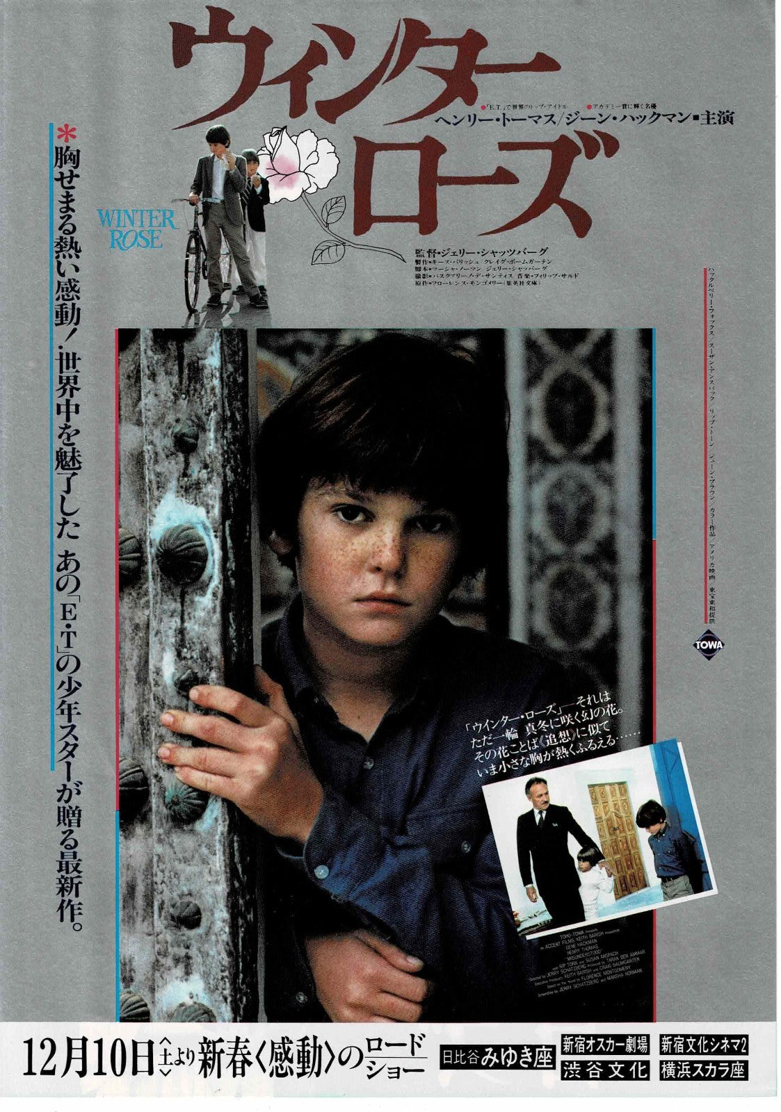Winter Rose 1983 Misunderstood JP Original Mini Movie Poster Chirashi Flyer B5
