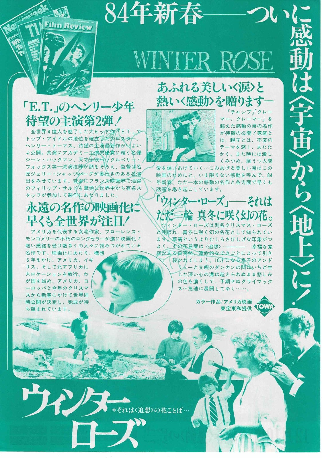 Winter Rose 1983 Misunderstood JP Original Mini Movie Poster Chirashi Flyer B5