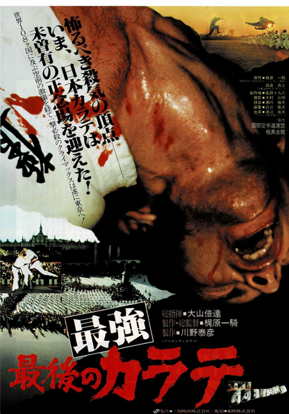 Saikyou Saigo no Karate 80 Japanese Original Mini Movie Poster Chirashi Flyer B5