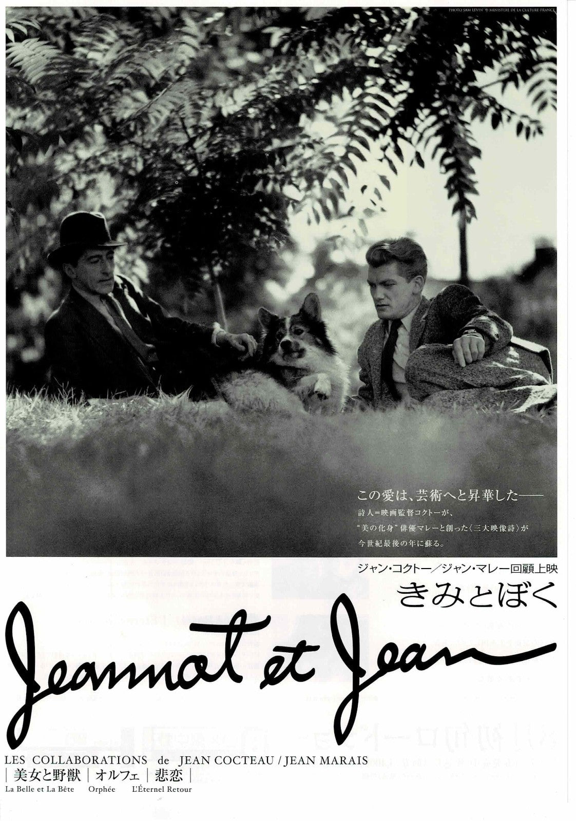 Jean Cocteau Jean Murray Japanese Original Mini Movie Poster Chirashi Flyer B5