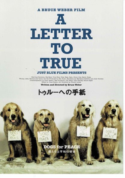 A Letter to True 2004 Bruce Weber Original Mini Movie Poster Chirashi Flyer B5 B