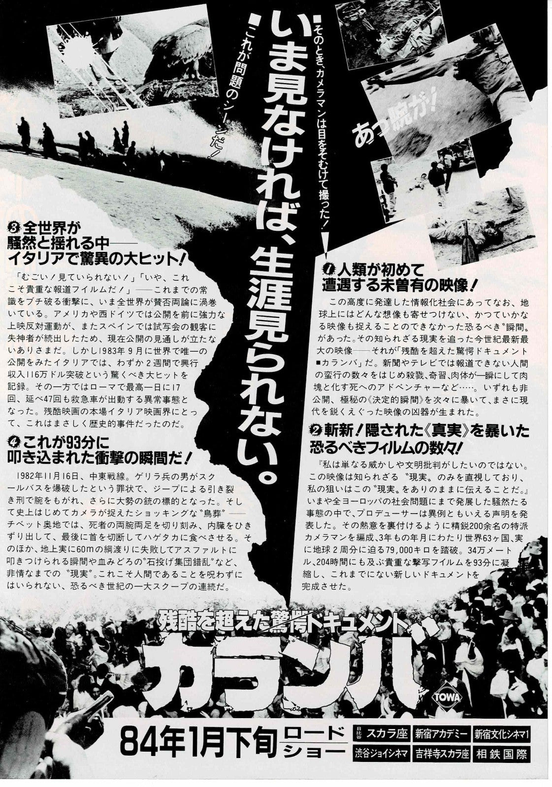 Caramba! Dolce e selvaggio 1983 Japanese Org.Mini Movie Poster Chirashi Flyer B5