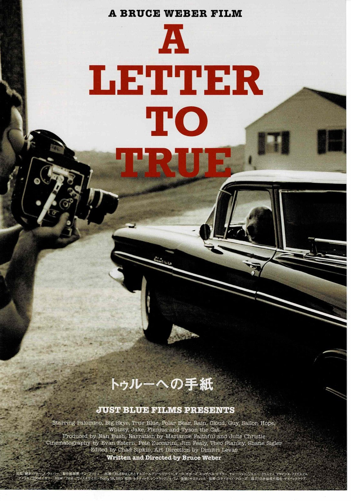 A Letter to True 2004 Bruce Weber Original Mini Movie Poster Chirashi Flyer B5