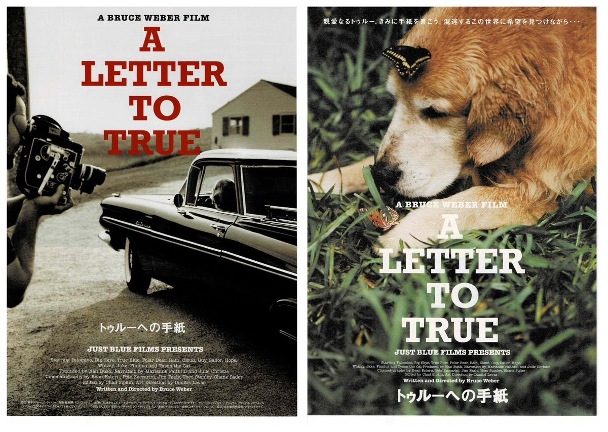 A Letter to True 2004 Bruce Weber Original Mini Movie Poster Chirashi Flyer B5