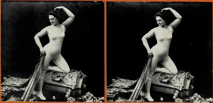 Antique French Stereoview Poses Plastiques Nude Figure Study 6 Card Lot S.I.P.