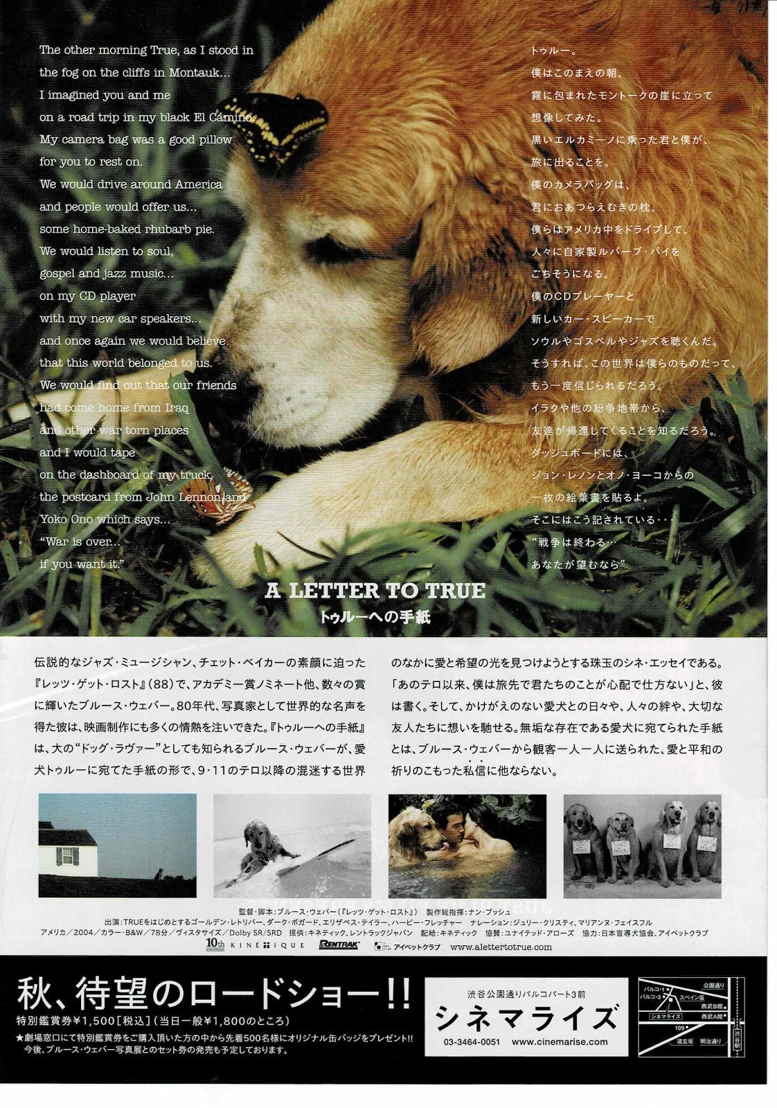 A Letter to True 2004 Bruce Weber Original Mini Movie Poster Chirashi Flyer B5