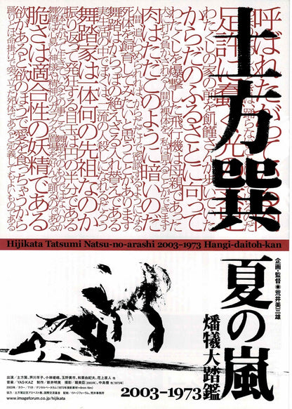 Tatsumi Hijikata Summer Storm 2003 Japanese Mini Movie Poster Chirashi Flyer B5