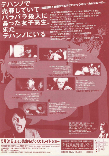 Teenage Hooker 2000 Gee-Woong Nam Japanese Mini Movie Poster Chirashi Flyer B5