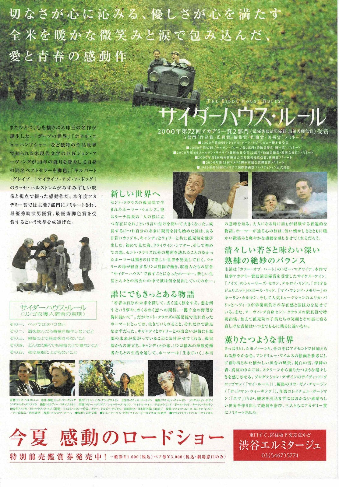 The Cider House Rules 1999 Japanese Original Mini Movie Poster Chirashi Flyer B5