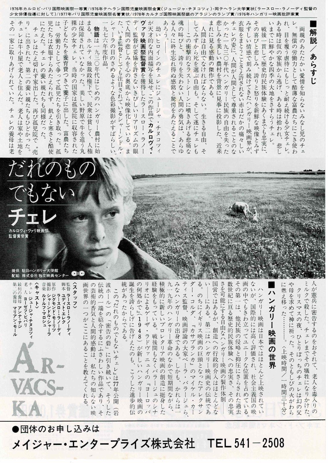 Árvácska 1976 László Ranódy Japanese Origina Mini Movie Poster Chirashi Flyer B5